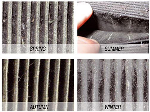 A photo of four cabin air filters by season